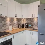 365pam - Ambra Baltica غونسكي