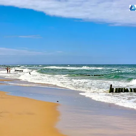 365pam - Ambra Baltica *