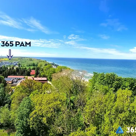 365pam - Ambra Baltica