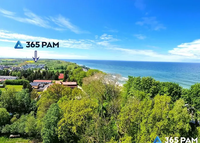 365pam - Ambra Baltica