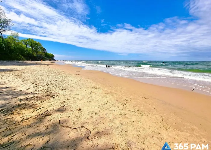 365pam - Ambra Baltica * Gąski